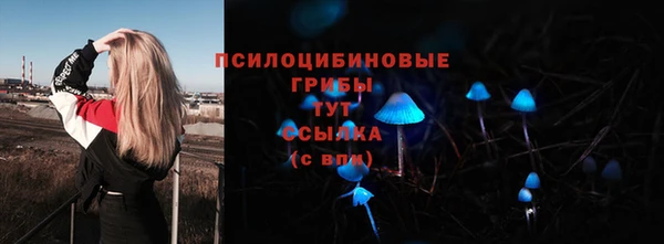 PSILOCYBIN Белоозёрский